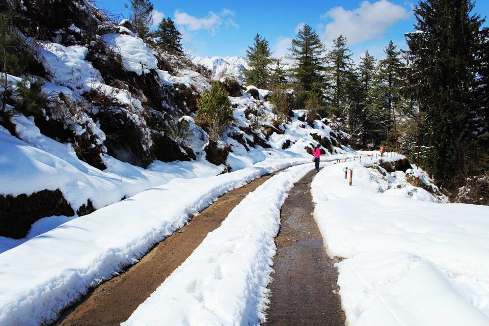 Photo of It was our Auli-day ! #photosofsnow by Filterkaapitravel