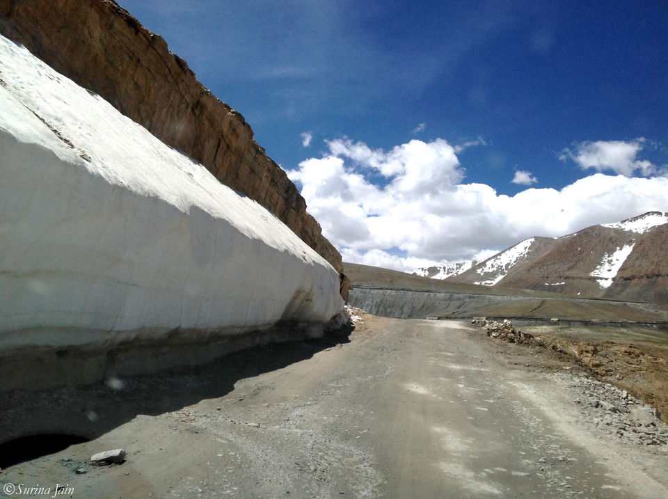 Photo of The Himalayan Call!! 6/35 by Surina Jain