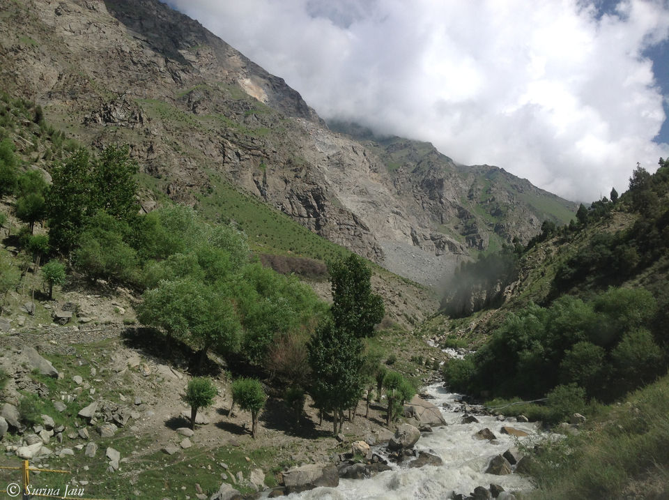 Photo of The Himalayan Call!! 27/35 by Surina Jain