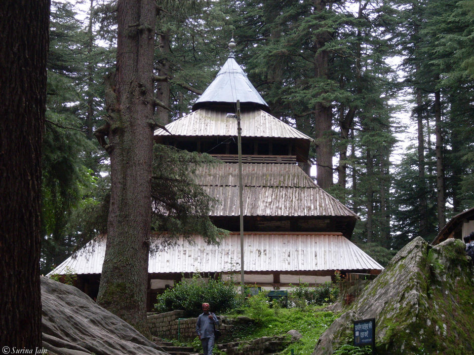 Photo of The Himalayan Call!! 34/35 by Surina Jain