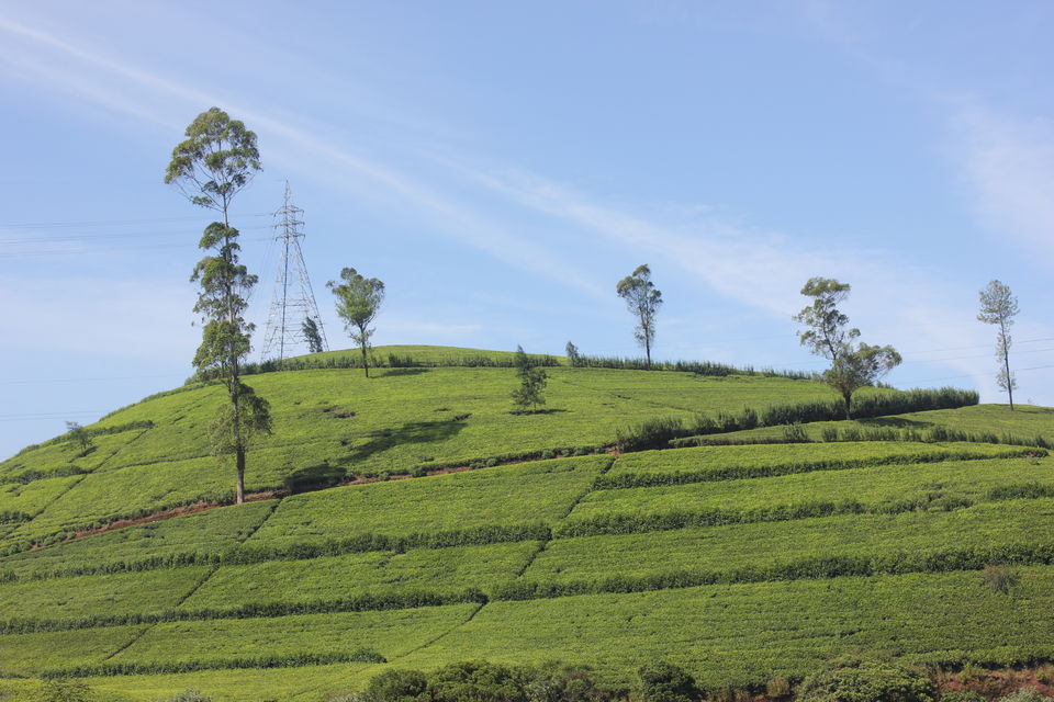 Photo of Amaya Hills Resort, Heerassagala, Kandy, Central Province, Sri Lanka by Nahma Fahad