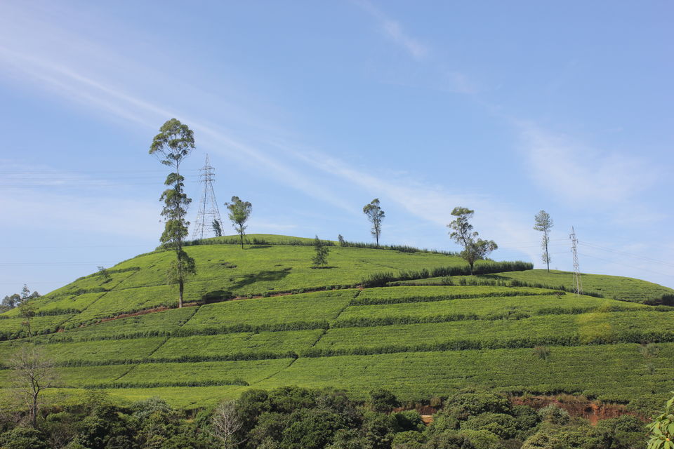 Photo of Amaya Hills Resort, Heerassagala, Kandy, Central Province, Sri Lanka by Nahma Fahad
