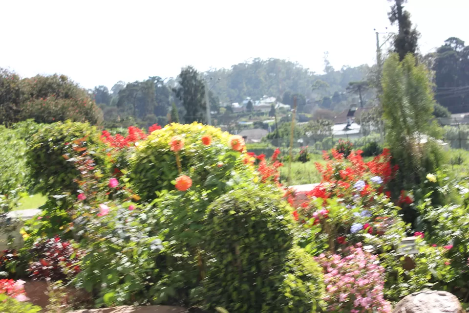 Photo of Araliya Green Hills Hotel, Nuwara Eliya, Central Province, Sri Lanka by Nahma Fahad