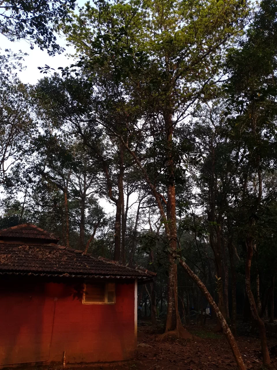 Photo of Friendz HomeStay by Pratiksha Mohanty