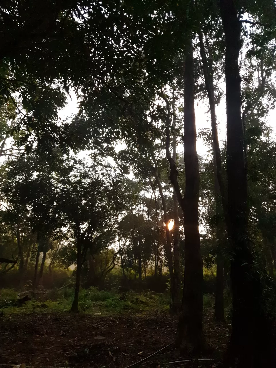 Photo of Friendz HomeStay by Pratiksha Mohanty