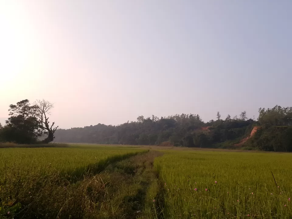 Photo of Friendz HomeStay by Pratiksha Mohanty