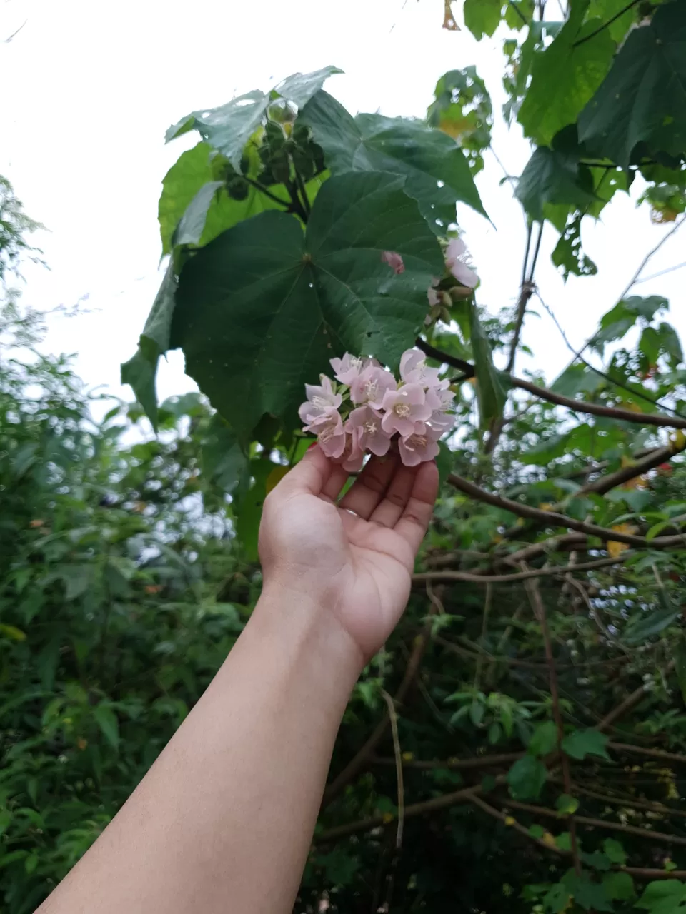 Photo of Friendz HomeStay by Pratiksha Mohanty