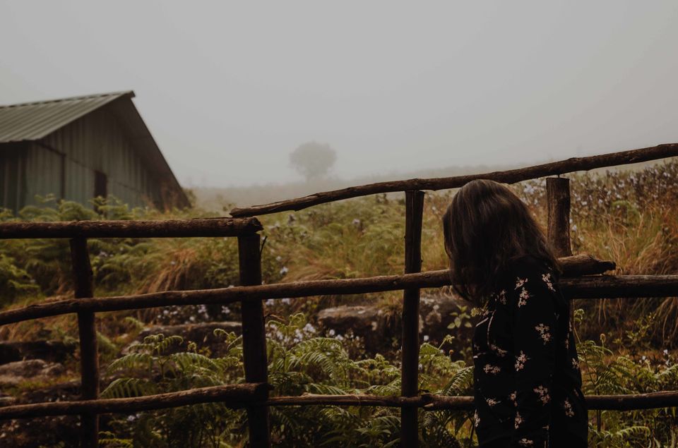 Photo of Broke travel bugs Road tripping from Bangalore to Munnar. by Pratiksha Mohanty