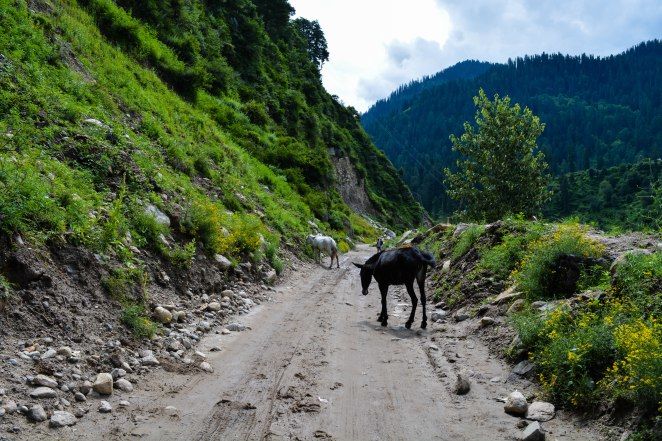 Photo of Stoners Elysium : Kasol- Kheerganga trek 3/25 by Visuallyblunt