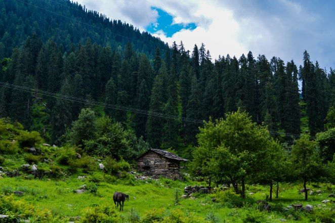 Photo of Stoners Elysium : Kasol- Kheerganga trek 8/25 by Visuallyblunt
