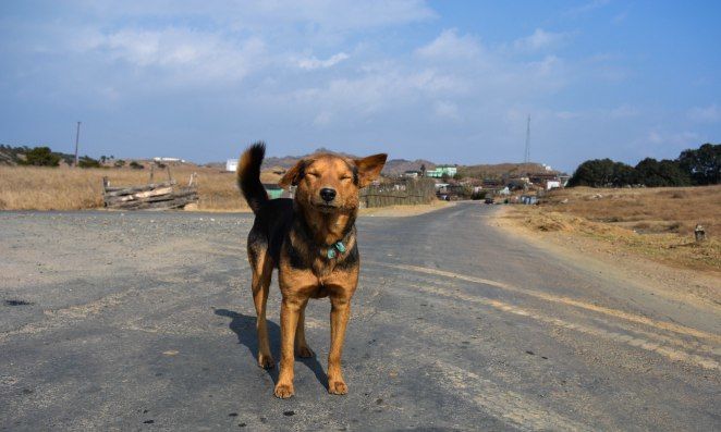 Photo of Reliving a winter getaway-Charming Meghalaya 10/21 by Visuallyblunt