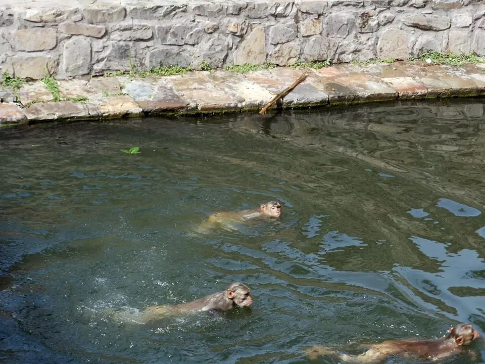 Photo of Bhangarh, Rajasthan, India by Praveen Gupta