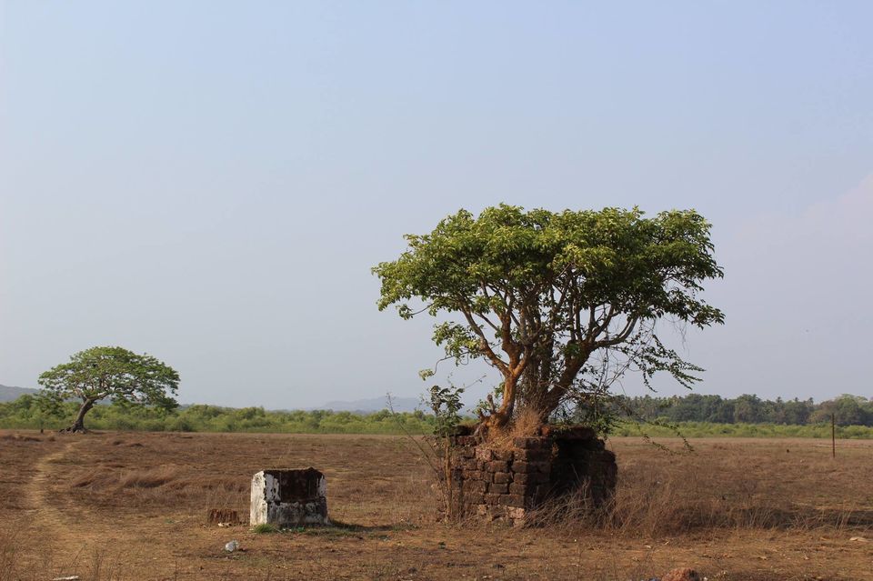 Photo of Goa – Beyond night life and parties 11/25 by The Travelling Gene