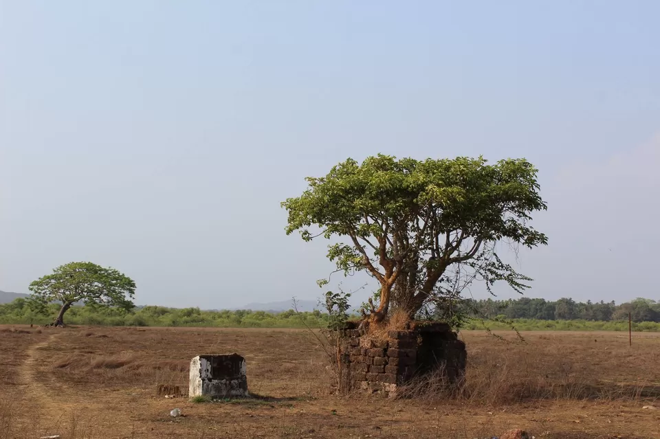 Photo of Divar Island by The Travelling Gene