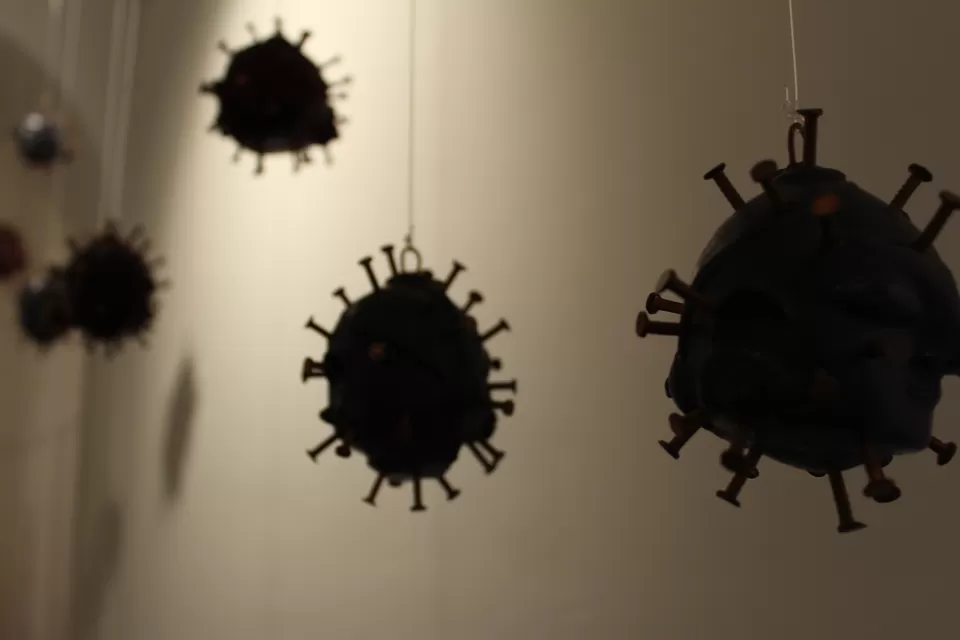 Photo of The art show by The Travelling Gene
