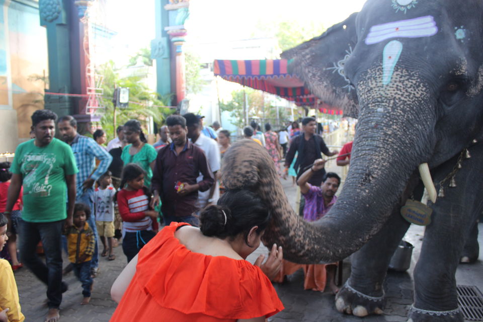 Photo of Eat, Pray, Love – Pondicherry Travelogue 6/6 by The Travelling Gene