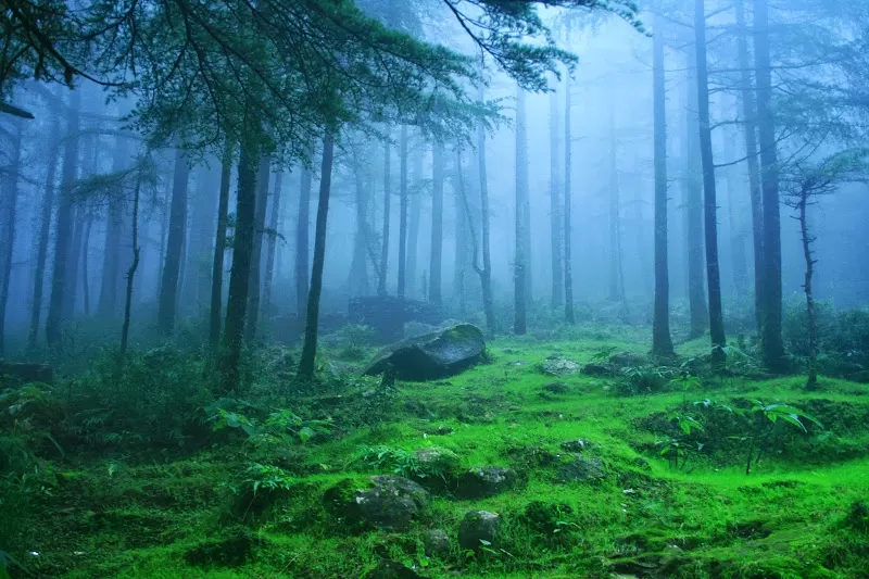 Photo of Himachal Pradesh, India by Sneha Singh