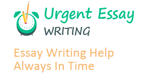 Photo of Personal Reviews of Online Writing Services 1/1 by edwardboyd