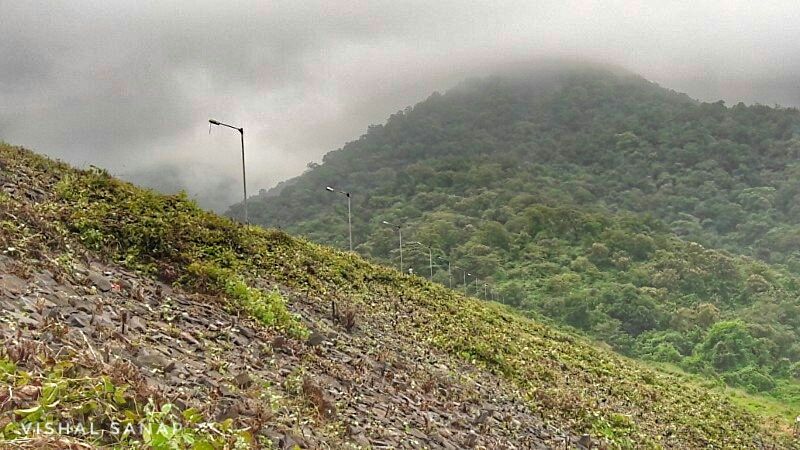 Photo of Pelhar Lake, Palghar, Maharashtra, India by Vishal Sanap