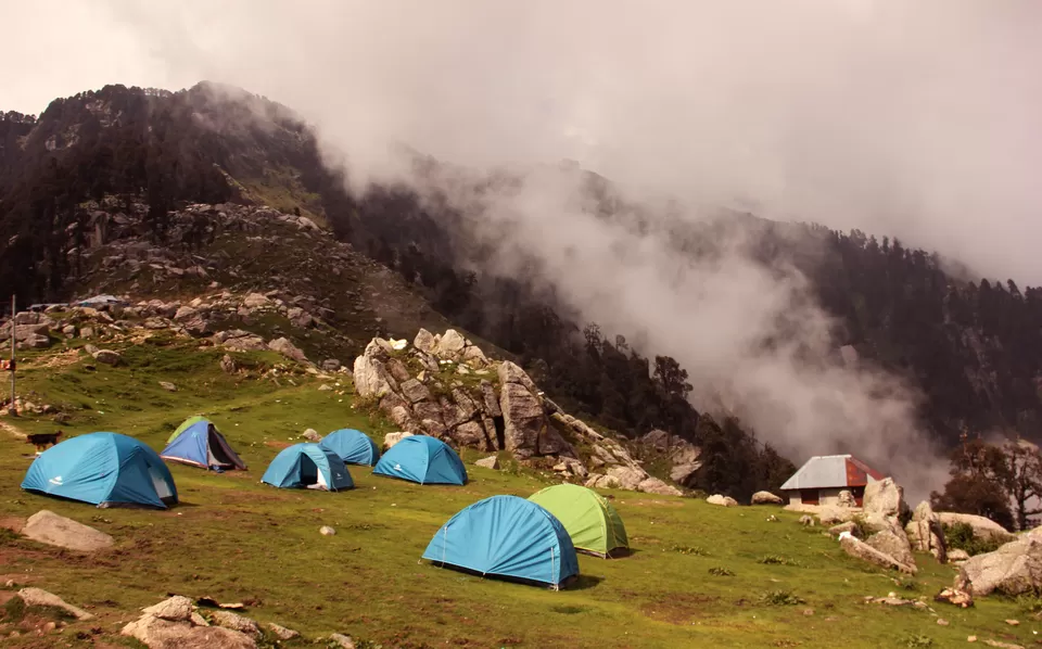 Photo of Triund, Triund, Himachal Pradesh 176219 by Oindrilla Gupta