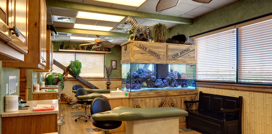 Photo of Salt Lake City Pediatric Dentist 2/3 by Granger PD