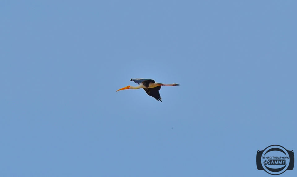 Photo of Pazhaverkadu, Pulicat, Tamil Nadu, India by Sherwin Sam