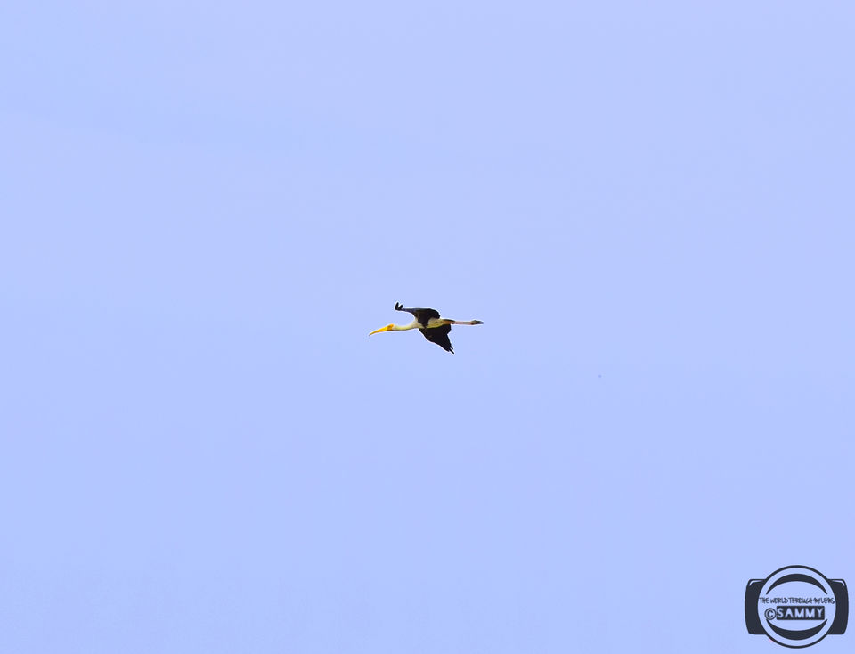 Photo of Pazhaverkadu, Pulicat, Tamil Nadu, India by Sherwin Sam