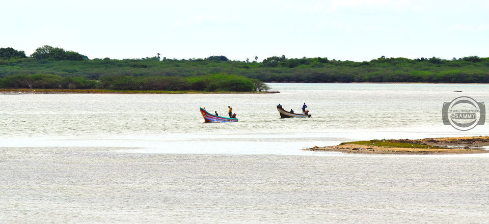 Photo of Pazhaverkadu, Pulicat, Tamil Nadu, India by Sherwin Sam