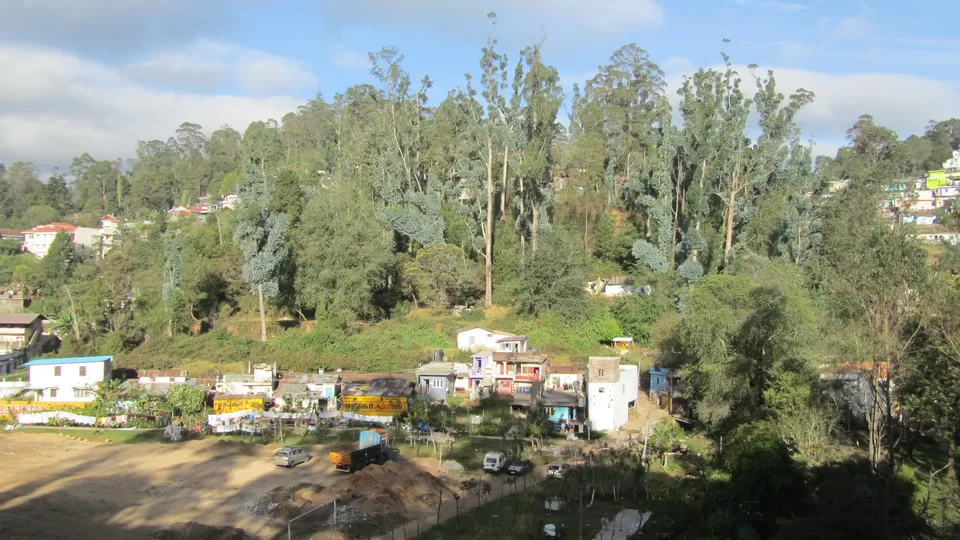 Photo of Kodaikanal, Tamil Nadu, India by Tasmai Dave