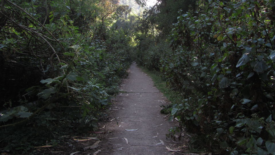 Photo of Princess of Hill Stations- Kodaikanal by Tasmai Dave