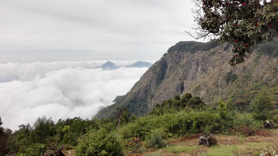 Photo of Princess of Hill Stations- Kodaikanal by Tasmai Dave
