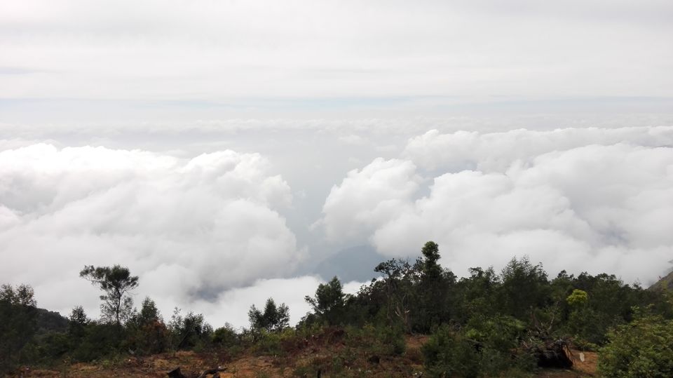 Photo of Princess of Hill Stations- Kodaikanal by Tasmai Dave