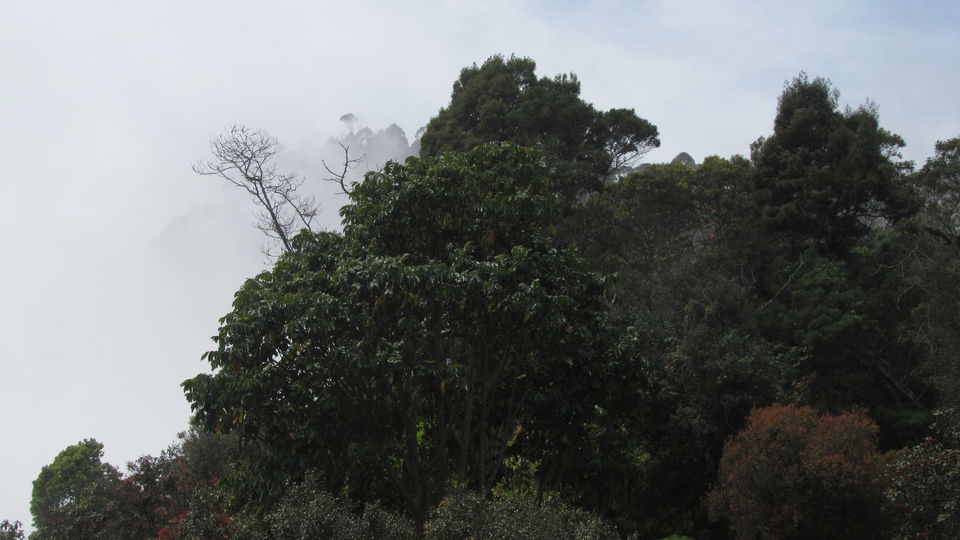 Photo of Pillar Rocks Viewpoint, Pillar Rocks Road, Kodaikanal, Tamil Nadu, India by Tasmai Dave