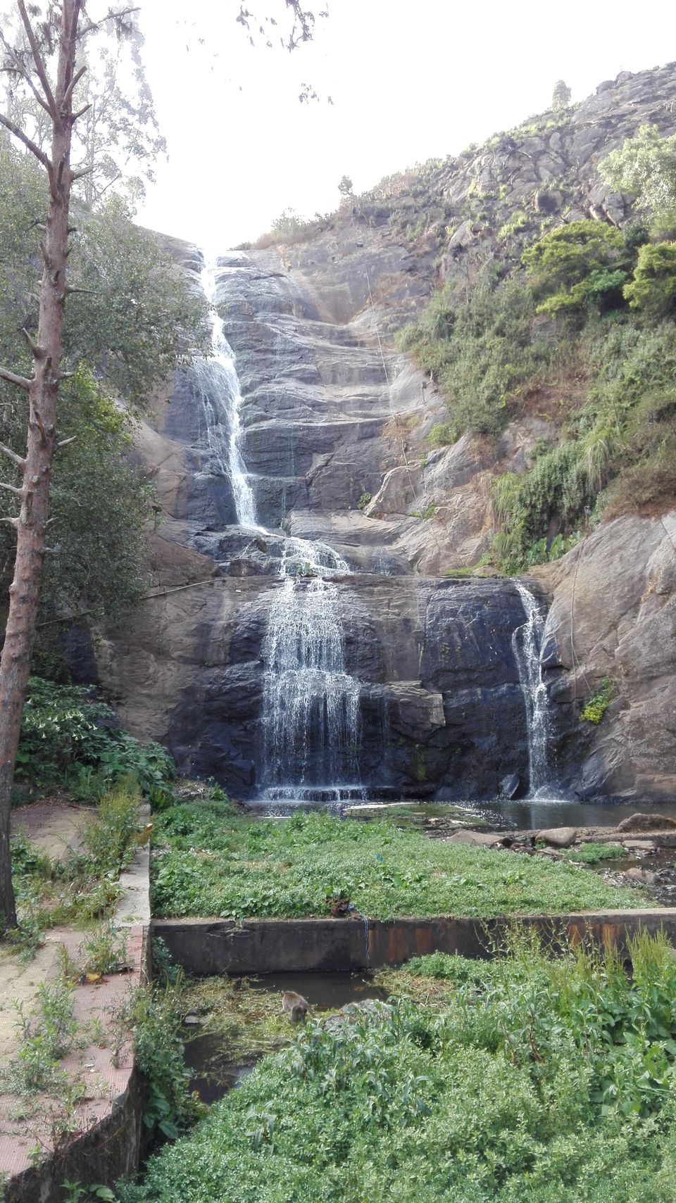 Photo of Silver Cascade Falls, Kodaikanal Ghat Road, Kodaikanal, Tamil Nadu, India by Tasmai Dave