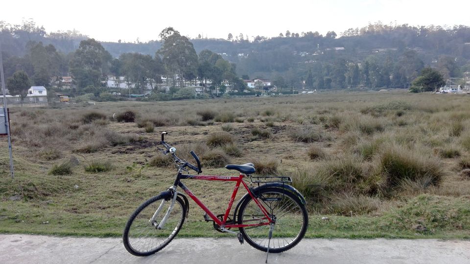 Photo of Princess of Hill Stations- Kodaikanal by Tasmai Dave