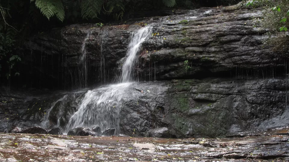Photo of Vattakanal Water Falls, Dindigul, Tamil Nadu, India by Tasmai Dave