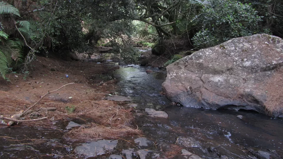 Photo of Vattakanal Water Falls, Dindigul, Tamil Nadu, India by Tasmai Dave