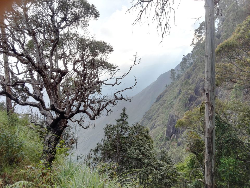 Photo of Living at the Edge of a Valley- Vattakanal by Tasmai Dave