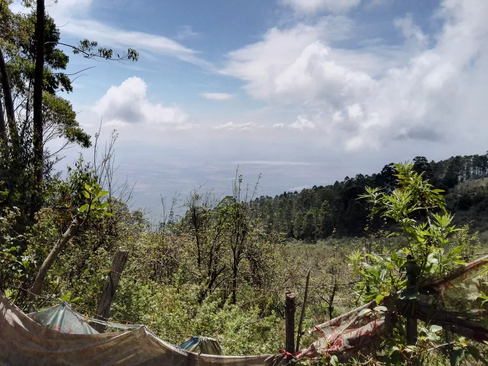 Photo of Vattakanal, Kodaikanal, Tamil Nadu, India by Tasmai Dave