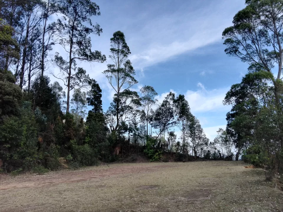 Photo of Vattakanal, Kodaikanal, Tamil Nadu, India by Tasmai Dave