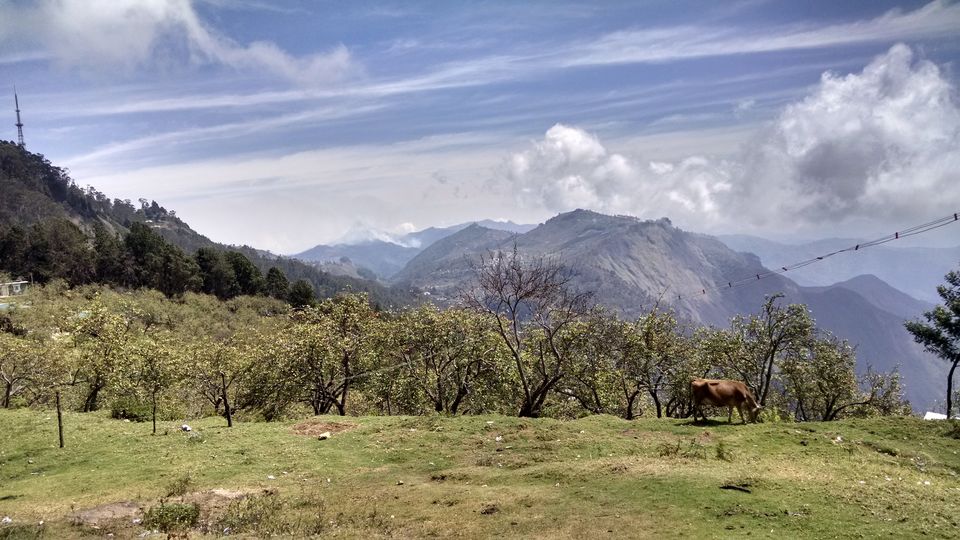 Photo of Mediterranean in the midst of Kodaikanal- Althaf Cafe 3/4 by Tasmai Dave