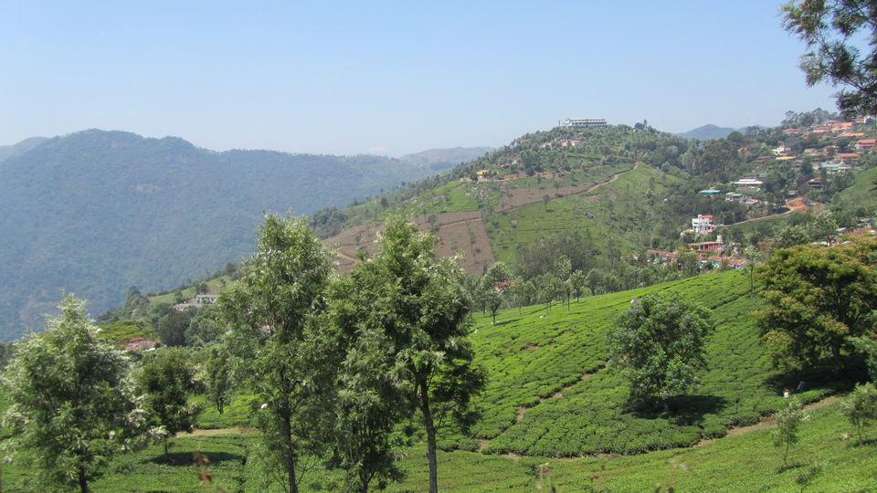 Photo of Nestled in the Nilgiris- Coonoor 5/15 by Tasmai Dave