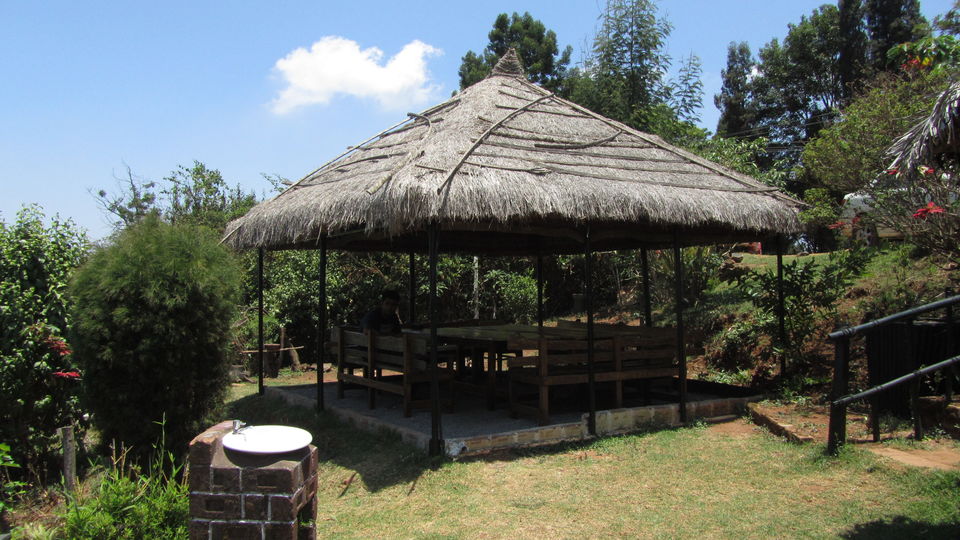 Photo of Nestled in the Nilgiris- Coonoor 7/15 by Tasmai Dave