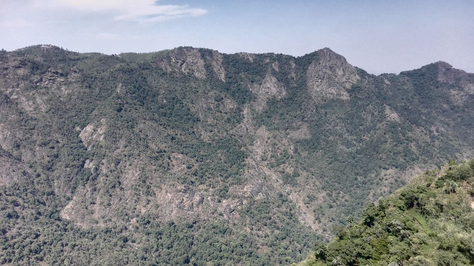 Photo of Nestled in the Nilgiris- Coonoor 15/15 by Tasmai Dave