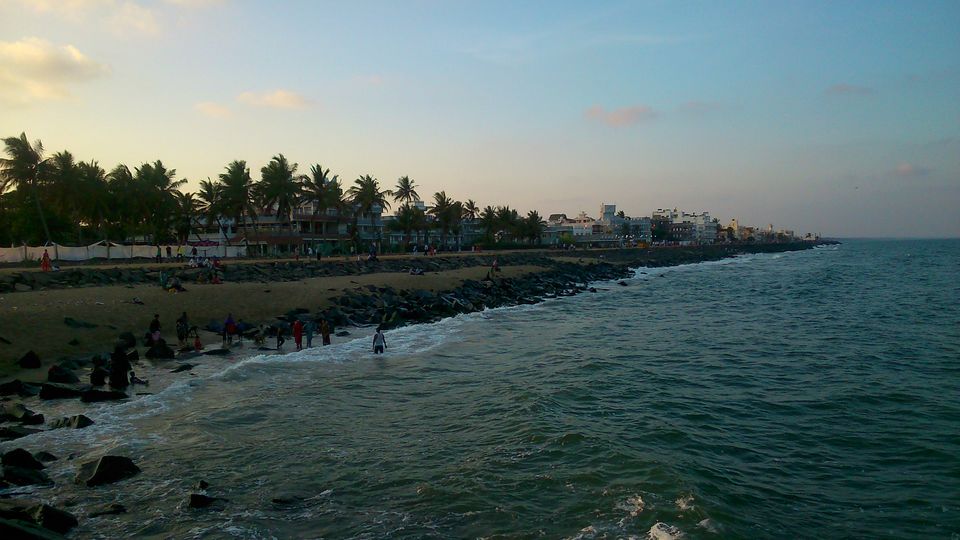 Photo of Cherry in the South- Pondicherry 3/13 by Tasmai Dave