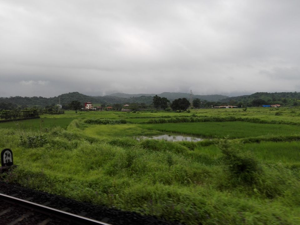 Photo of A Trip through Heaven-Konkan Railways 3/10 by Tasmai Dave