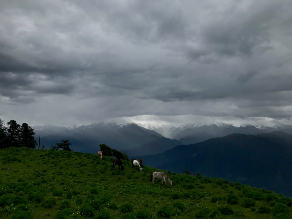 Photo of Himalayas by Bhoomi Patel