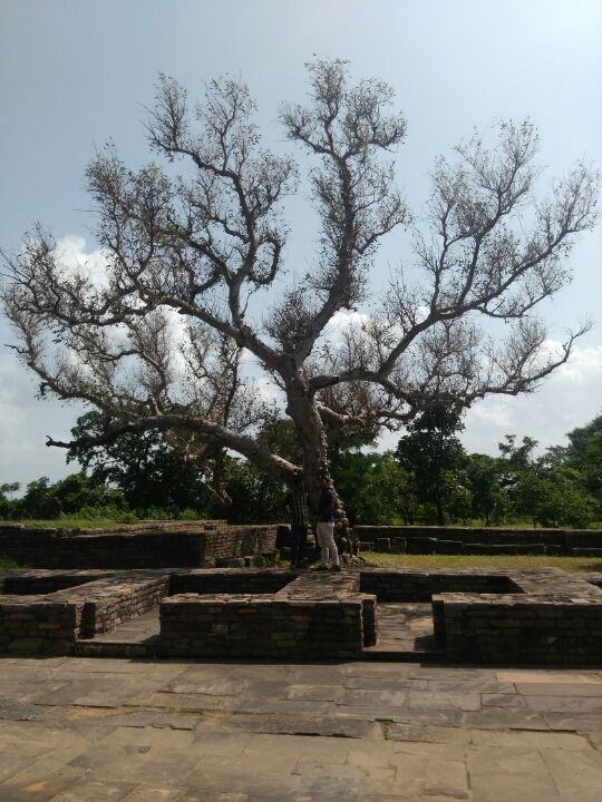 Photo of SANCHI: A place of spirituality you can't miss by Ajay Sharma