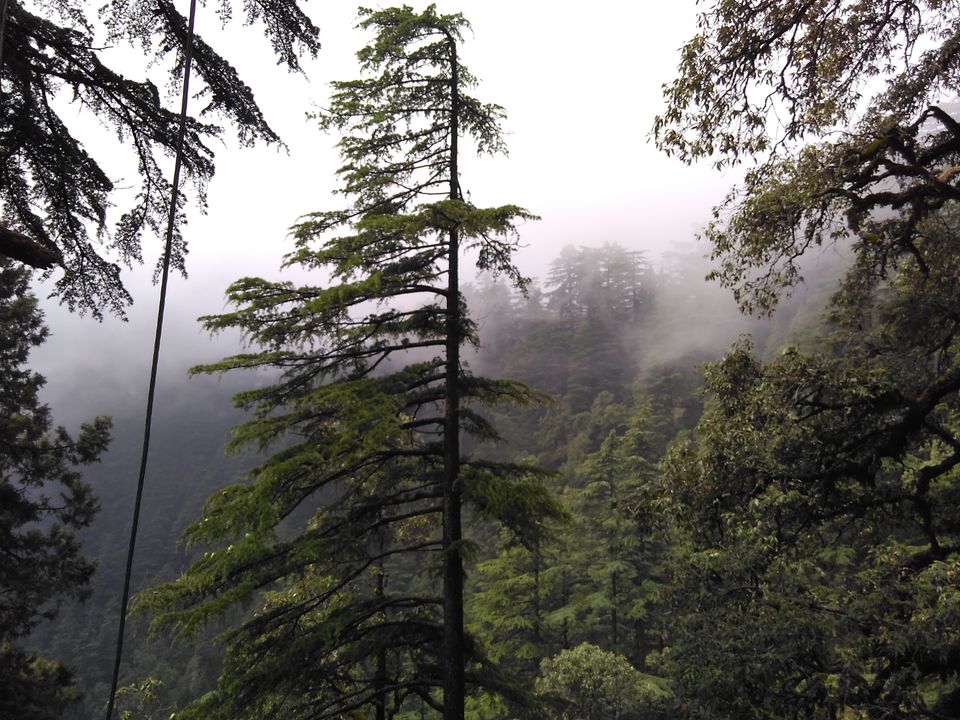 Photo of Ghosts and Gurgling Streams! Exploring With 'Been There, Doon That?' 4/4 by Sargam Mehra