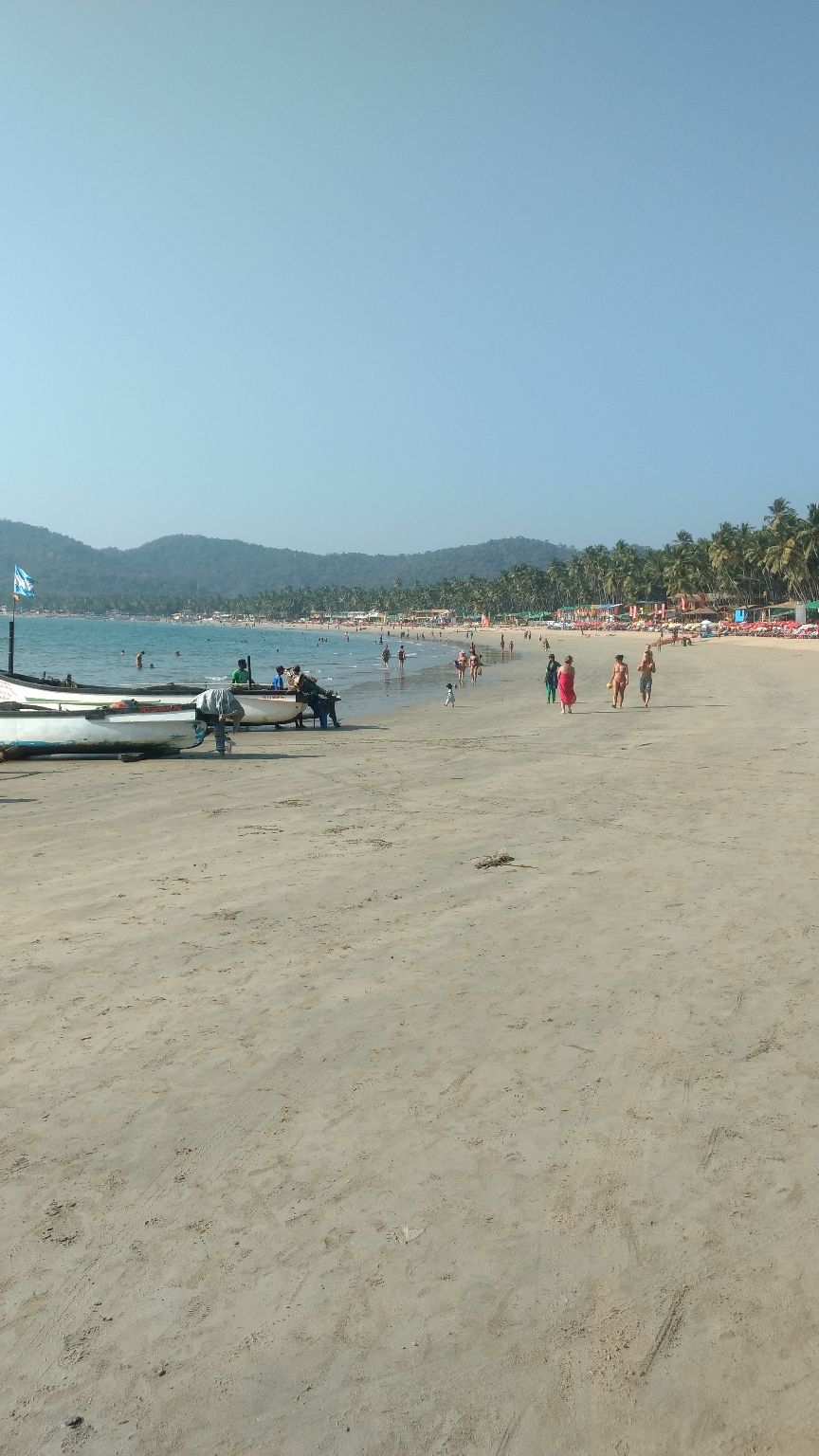 Photo of Palolem Beach, Goa, India by Devraj Jee
